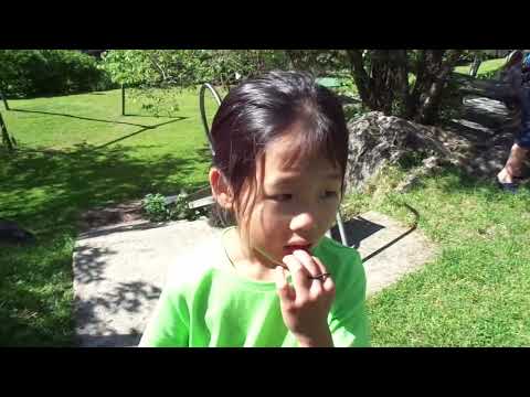 子供向けサマーキャンプ参加のユナちゃん自然体【スイス留学.com】