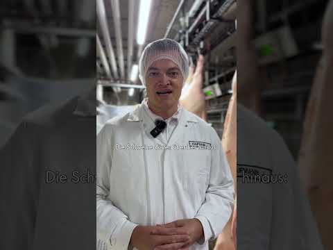 Die Klassifiziereung