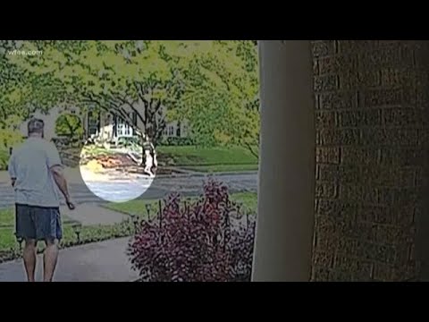 フォートワースの誘拐はアンバーアラートの基準を満たしていませんでした。 (Fort Worth kidnapping did not meet Amber Alert criteria)