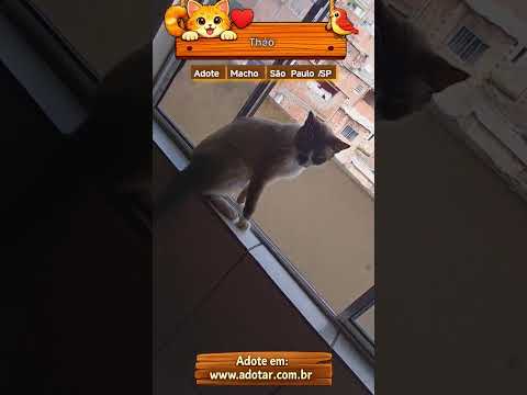 Vídeo de Théo