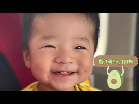 こども学科 【成長記録】響 1歳4ヶ月 【オフ動画】