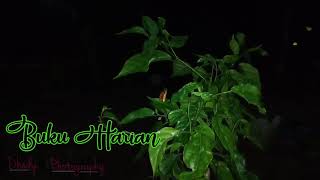 Download lagu History WA Buku Harian mp3 Download lagu History WA Buku Harian mp3