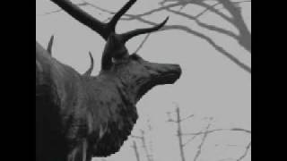 A Desolation Song - Agalloch