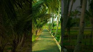 Download lagu If you take this road you have to go slowly||very cool #village #road #short #village #rural mp3 Download lagu If you take this road you have to go slowly||very cool #village #road #short #village #rural mp3