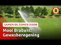 Brabant vanuit de lucht: regenboog bij beregening van gewas | Omroep Brabant