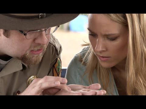 Pay $8 to mine your own diamonds?