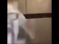 Black Man Pours Milk On Himself