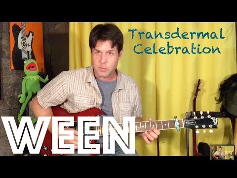 Guitar Lesson: How To Play Transdermal Celebration by Ween