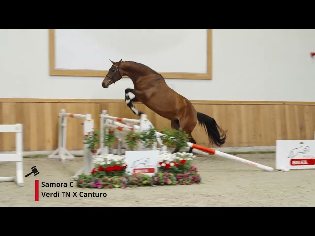 Samora C