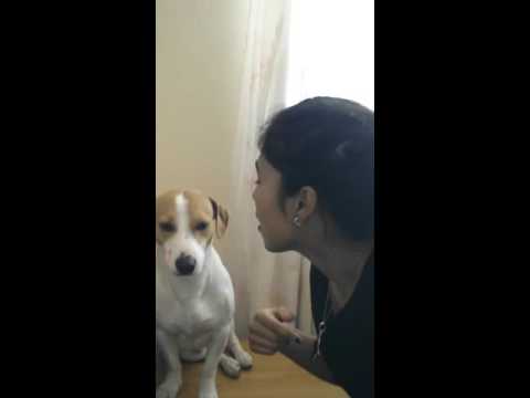 Shanice serenades Torres