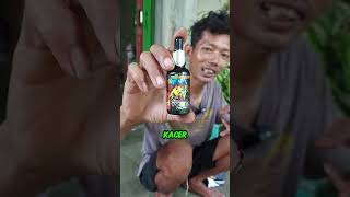 Download lagu The Secret Supplement for Cendet Birds to Make Them Sing Insistently #birds #chirpingmania #viral... mp3 Download lagu The Secret Supplement for Cendet Birds to Make Them Sing Insistently #birds #chirpingmania #viral... mp3