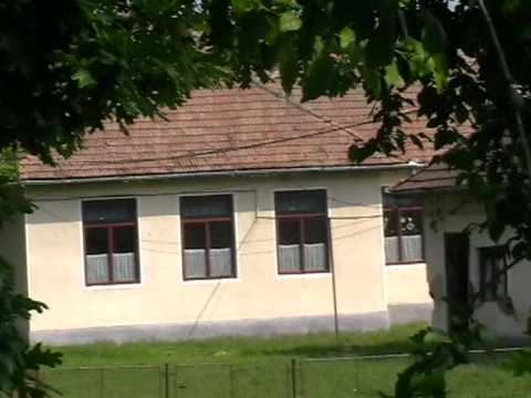 SATUL ULIES MURES SCOALA VECHE RACIUTVS2