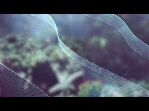 Trokut - Memories (Part II) - Kabuki Remix