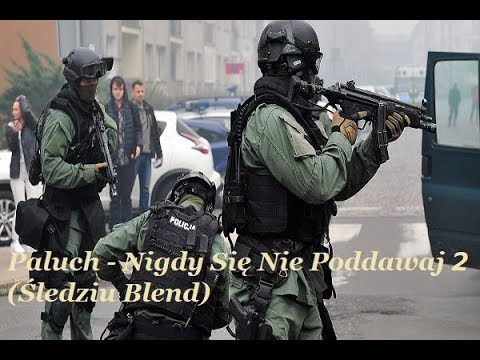 Paluch - Nigdy Się Nie Poddawaj 2 (Śledziu Blend) TELEDYSK