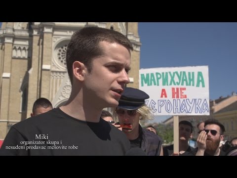 DNEVNJAK - Skup za legalizaciju marihuane