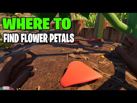 Where to Find Flower Petals | Grounded ๐๐ท