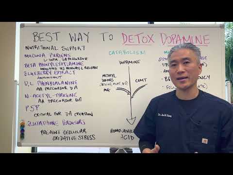 DOPAMINE Withdrawal DETOX Part 2 Signs and Symptoms