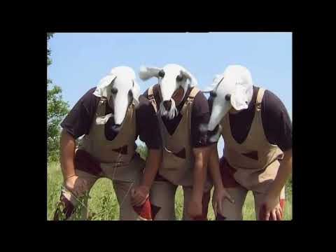 Maxim Turbulenc - Vařila myšička kašičku