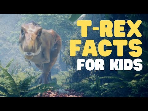 T-Rex Facts for Kids | All about the Tyrannosaurus Rex