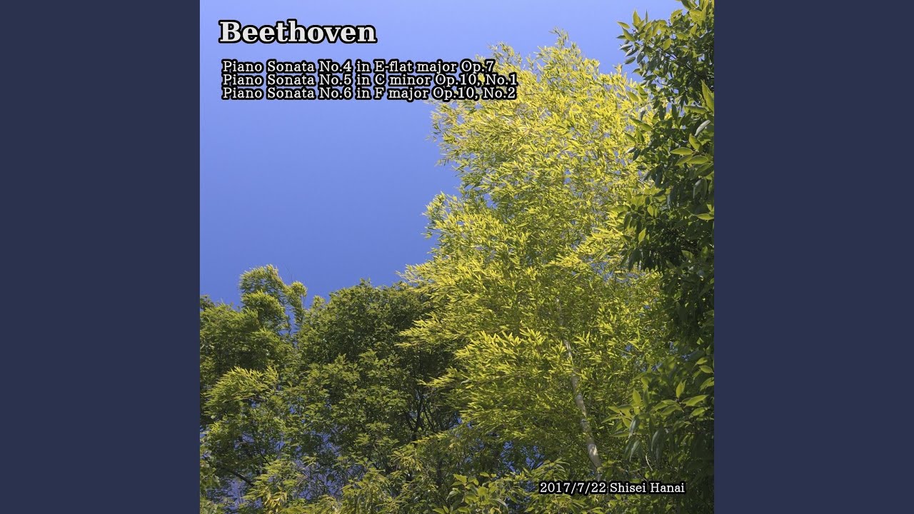 Beethoven Piano Sonata No. 6 in F Major, Op. 10, No. 2: II. Menuetto. Allegretto