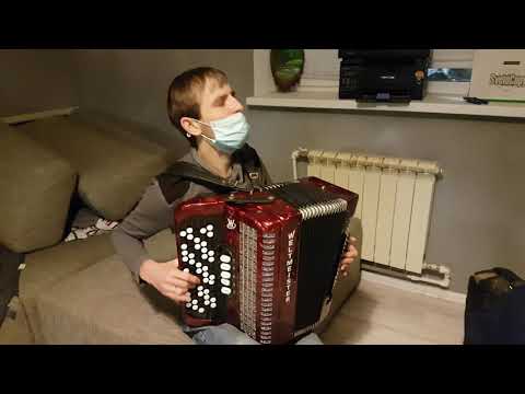 Weltmeister Romance! продажа! Порадуй своих близких на Новый год