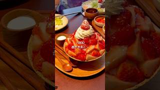 【Vlog】中国駐在妻のリアルな日常🐱🍓 #vlog #中国 #駐在妻 #駐妻 #海外生活 #海外 #深圳 #ねこ #海外在住 #china #日常 #shenzhen #cat #マンチカン