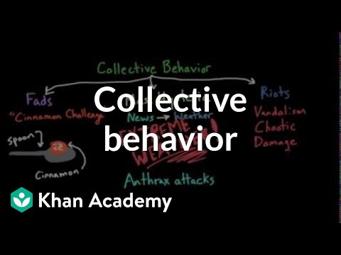 Aspects of Collective Behavior: Fads, Mass Hysteria, and Riots | Behavior | MCAT | Khan Academy