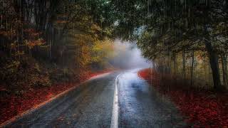 Gentle Night Rain 1 HOUR Rain Sounds for Sleeping