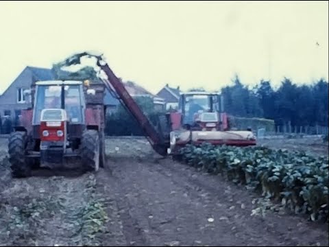 Loonw. Decock - Sint-Eloois-Winkel - 1981 - Zetor Crystal 12045 - Oliver 984 - Same Drago