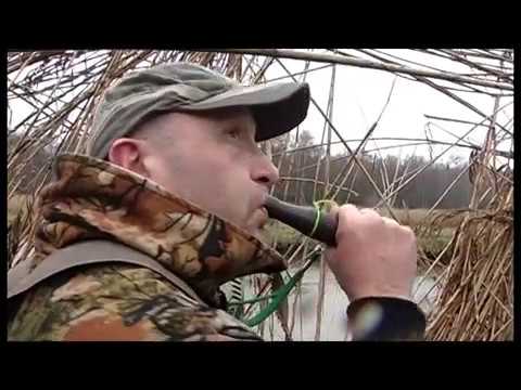 Chasses modernes du migrateurs (oies et canards) 2ème partie