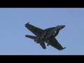VFA 143 Pukin Dogs