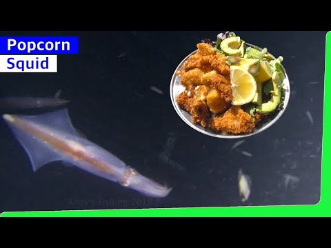 Squid Fishing Overnight adventure with catch and cook EP.412