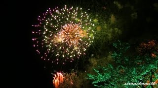 preview picture of video '[HD]夜桜名所の花火 涌谷城 涌谷桜まつり Wakuya castle's Cherry Blossom&Fireworks'