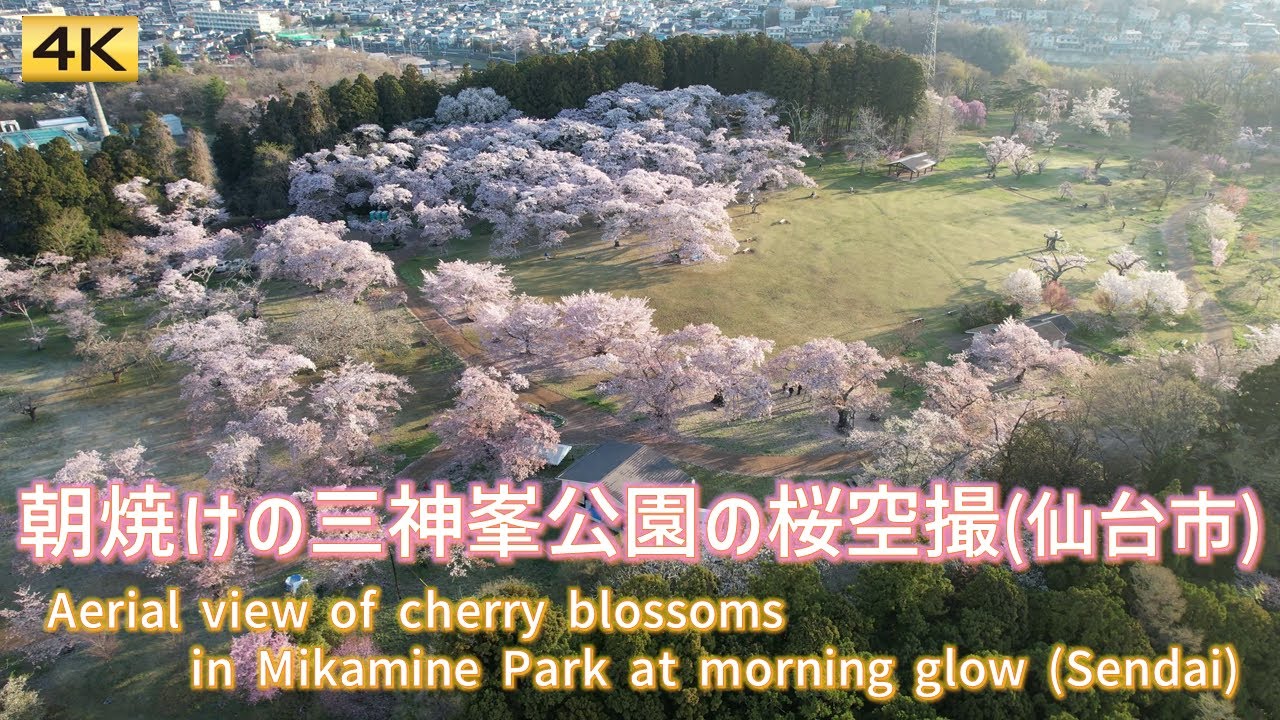 Marvel at the captivating aerial view of Mikamine Park.