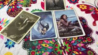 Taurus love reading. April 24th- May 1st. You can only hide your feelings for so long.