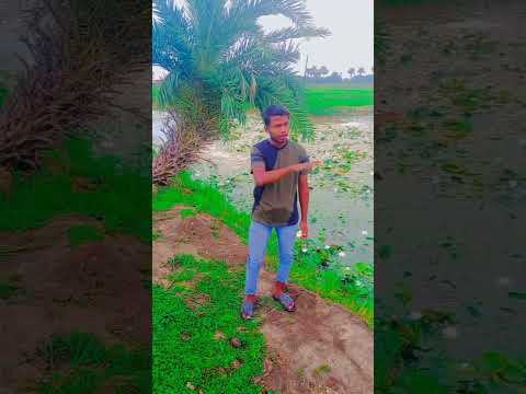 Itna Andha paisa kamao mere bhai ki Papa Nahin Papa Ki Pari Bole karungi gulami Teri😎😎🤠🤠💵💵💲💲💸💸