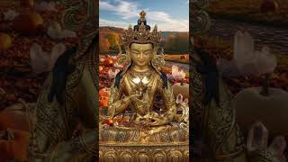 Download lagu Powerful Karma Purification, #Vajrasattva #Bodhisattva 100 Syllable #Mantra 🪷🙏🏻💞 mp3 Download lagu Powerful Karma Purification, #Vajrasattva #Bodhisattva 100 Syllable #Mantra 🪷🙏🏻💞 mp3