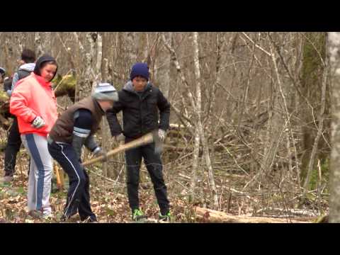 SOS za Park šumu Jasikovac, Gospić 28.3.3015. - prilog za HRT