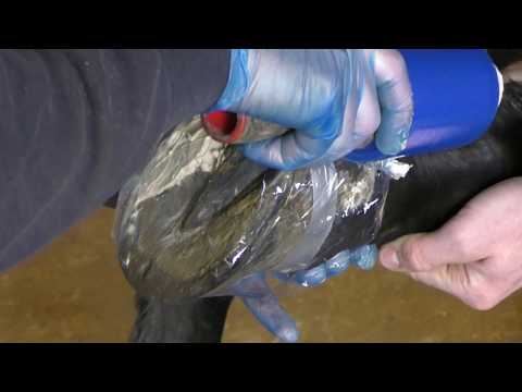 Slide 7 - Equilox Dispensing Gun For 420ml  (video)