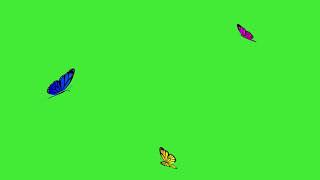 Flying Butterflies Green Screen