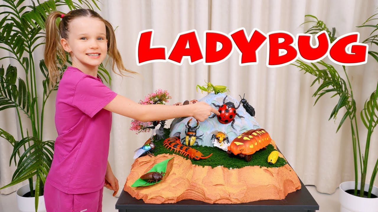 BUG SEARCH Challenge! Catch Them All & Learn Amazing Insect Facts with Stephi