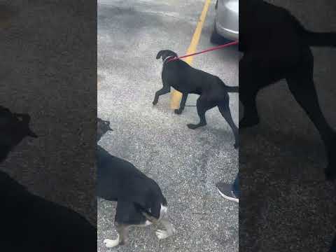 A2014030 Kasumi and Luna temp test