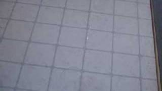 Plumbing Song - Weird Al Music Video