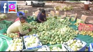 Watch “પરંપરાગત ખેતી છોડી બાગાયતી ખેતીથી વધારે ઉત્પાદન મેળવતા હનુમાનગઢના પ્રગતિશીલ ખેડૂત” on YouTube