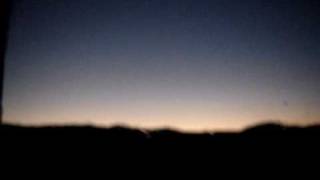 pia fraus - birds still swing