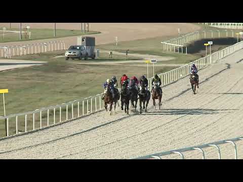 2019.11.24. 02. futam - NYERETLEN KÉTÉVESEK VERSENYE (IV.kat.) I. rész (szintetikus pálya)