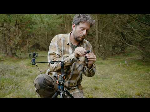 My Sound Recording Setup for Wildlife Photography