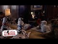 Date Night Lady The Tramp 3 15 Movie Scenes 102 Dalmatians 2000 HD