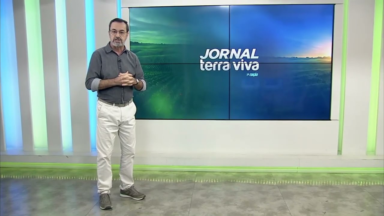 Caos em SP: temporal deixa capital paulista debaixo d'água