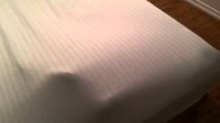 Download lagu Dacshund trapped under sheets mp3